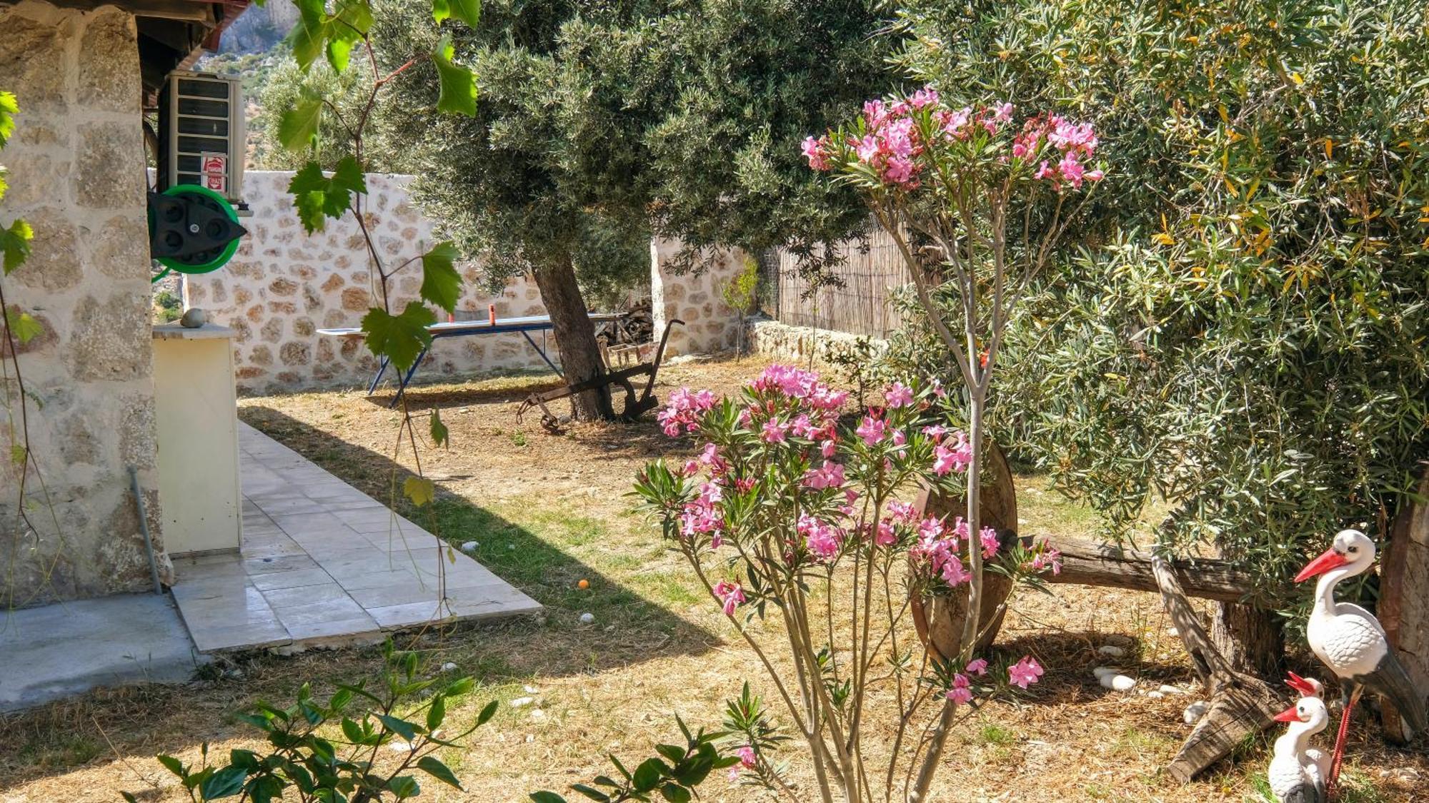Вилла Likya House - Deniz Ve Doga Manzarali, Havuzlu Патара Экстерьер фото