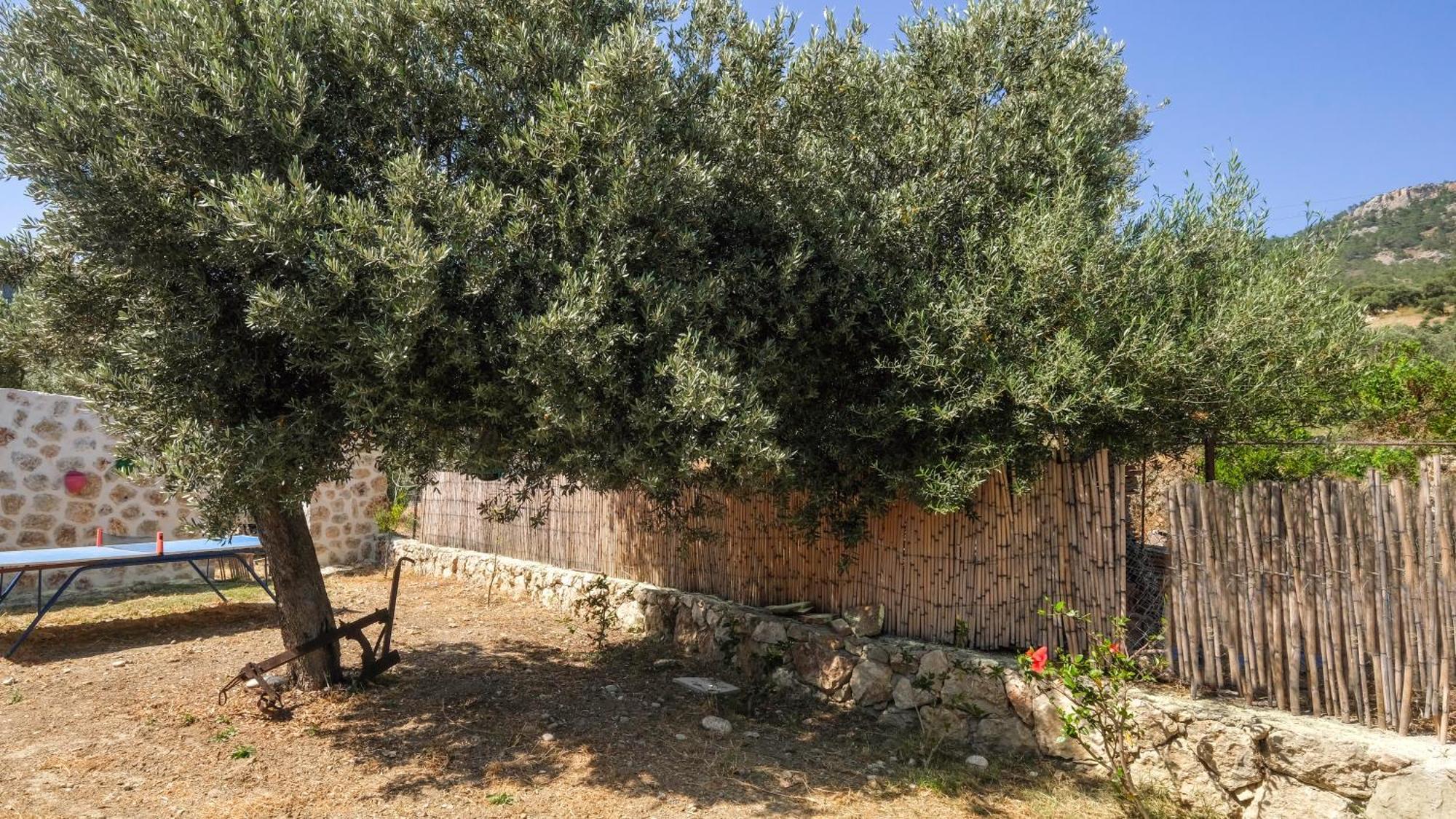 Вилла Likya House - Deniz Ve Doga Manzarali, Havuzlu Патара Экстерьер фото